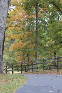 Early Fall