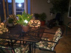 early morning on my porch