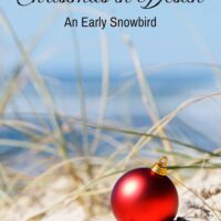 christmas in destin romance