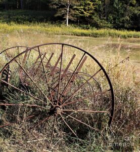 abandoned hay rake in field