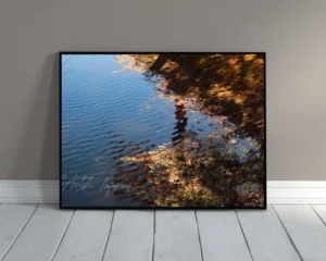 october reflections