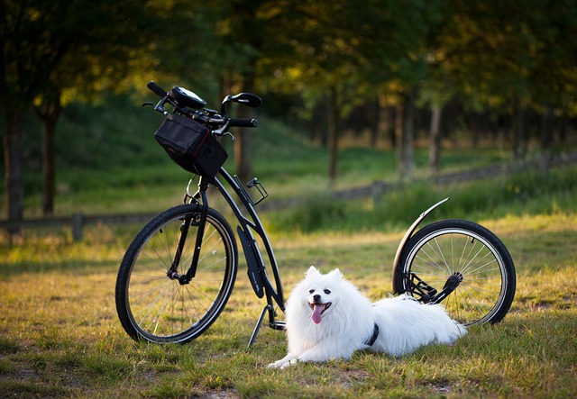 Suggested activities for retirees